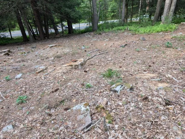 $35,000 | Eldred-yulan Road, Yulan, NY 12792