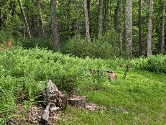 $35,000 | Eldred-yulan Road, Yulan, NY 12792