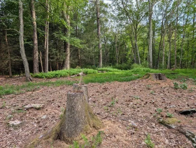 $35,000 | Eldred-yulan Road, Yulan, NY 12792