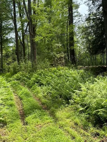 $35,000 | Eldred-yulan Road, Yulan, NY 12792