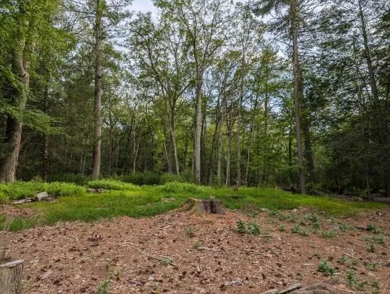 $35,000 | Eldred-yulan Road, Yulan, NY 12792