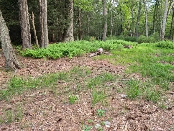 $35,000 | Eldred-yulan Road, Yulan, NY 12792