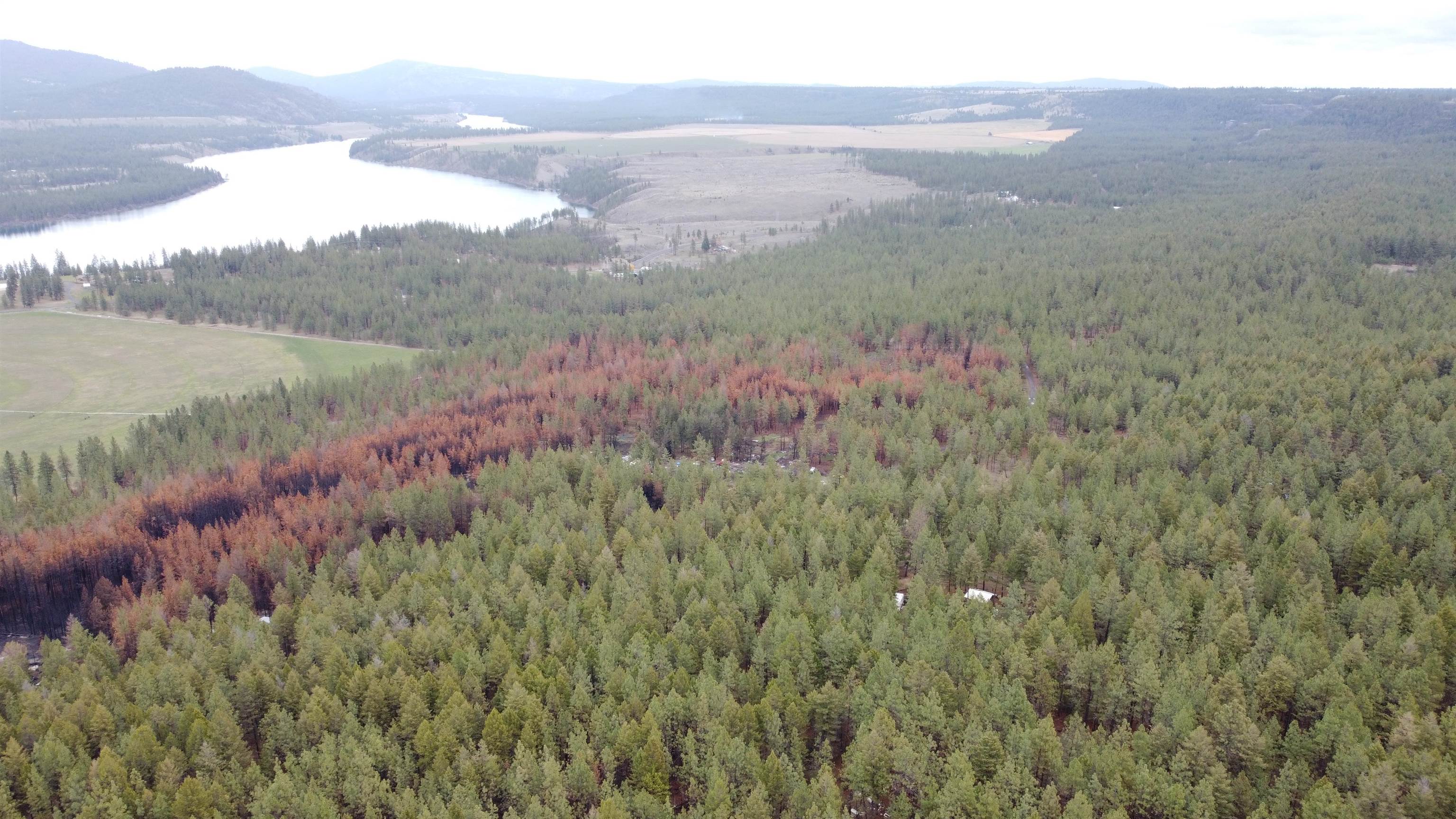 Xxx Coyote Ridge Ln Ford Ford, WA 99013 - Photo 1 of 33