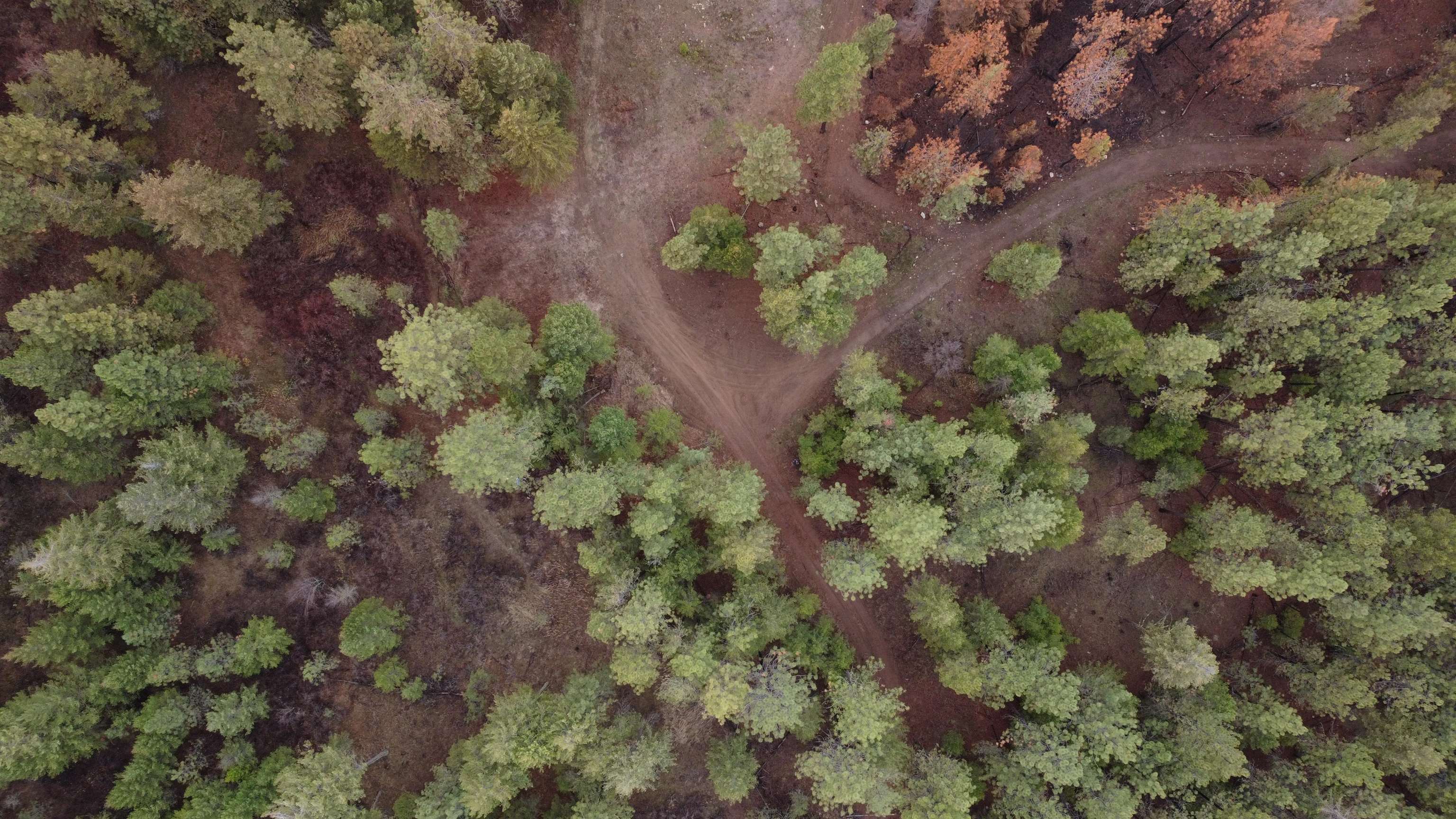 Xxx Coyote Ridge Ln Ford Ford, WA 99013 - Photo 22 of 33