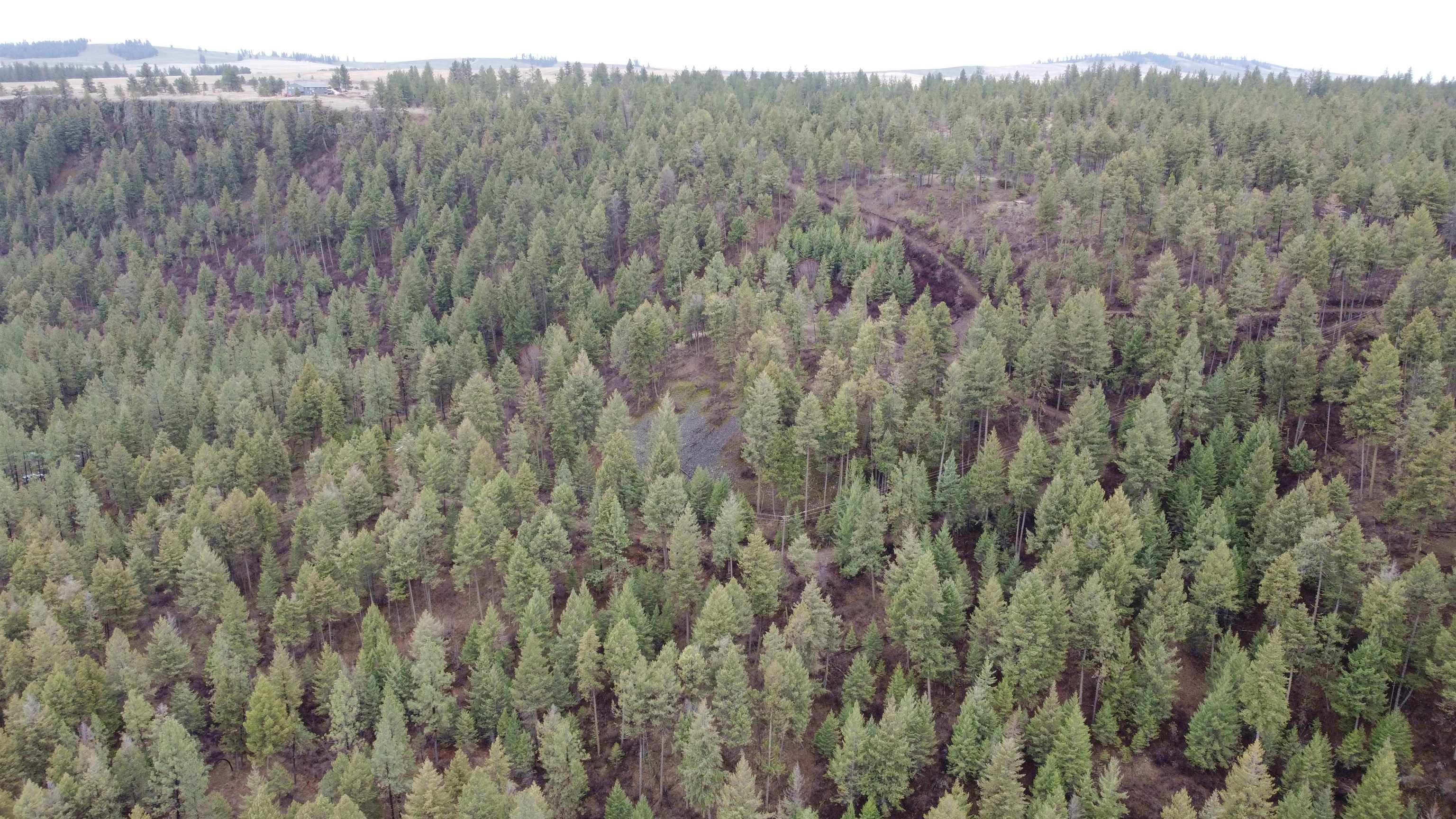 Xxx Coyote Ridge Ln Ford Ford, WA 99013 - Photo 31 of 33