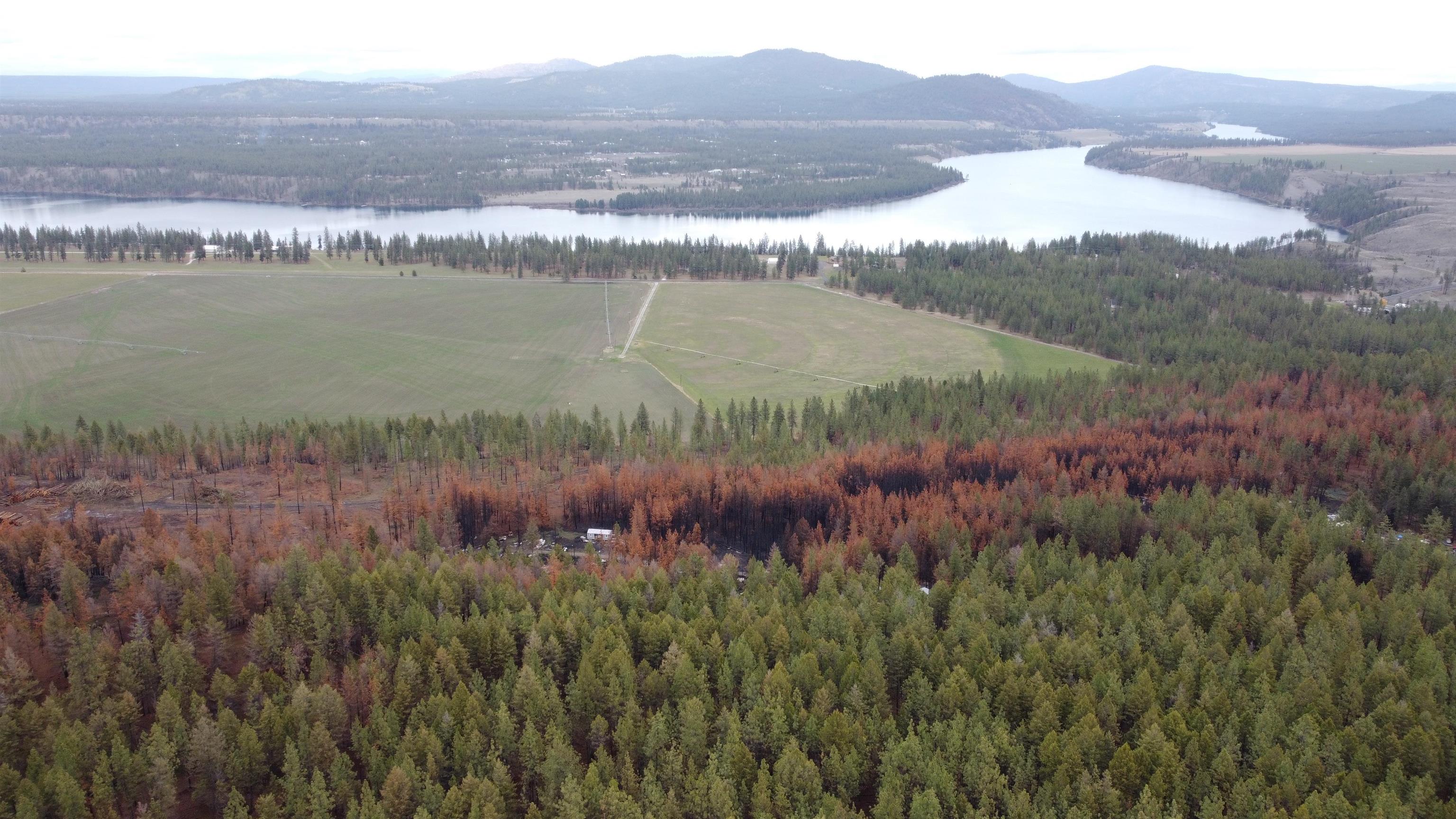 Xxx Coyote Ridge Ln Ford Ford, WA 99013 - Photo 5 of 33