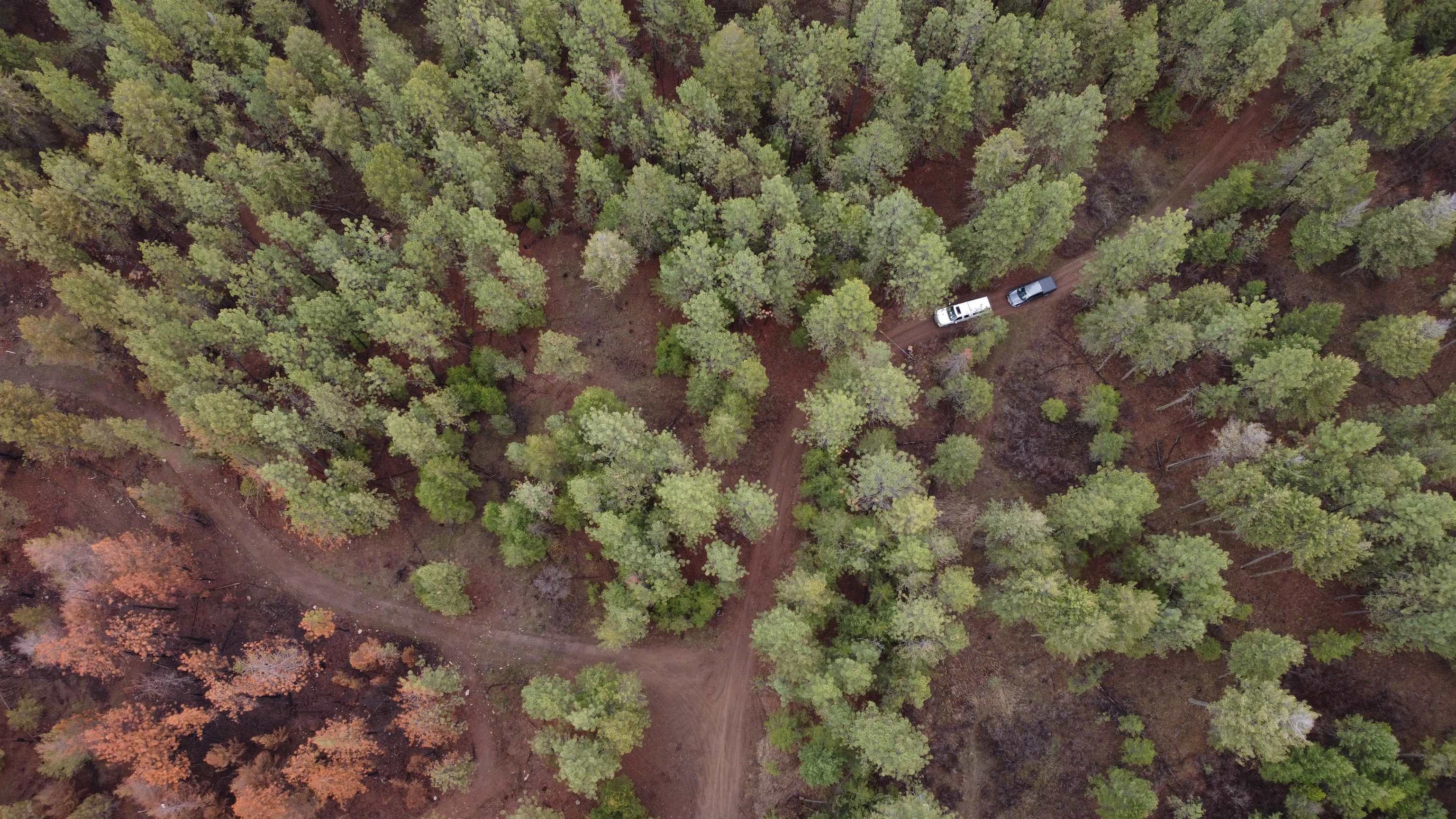 Xxx Coyote Ridge Ln Ford Ford, WA 99013 - Photo 9 of 33