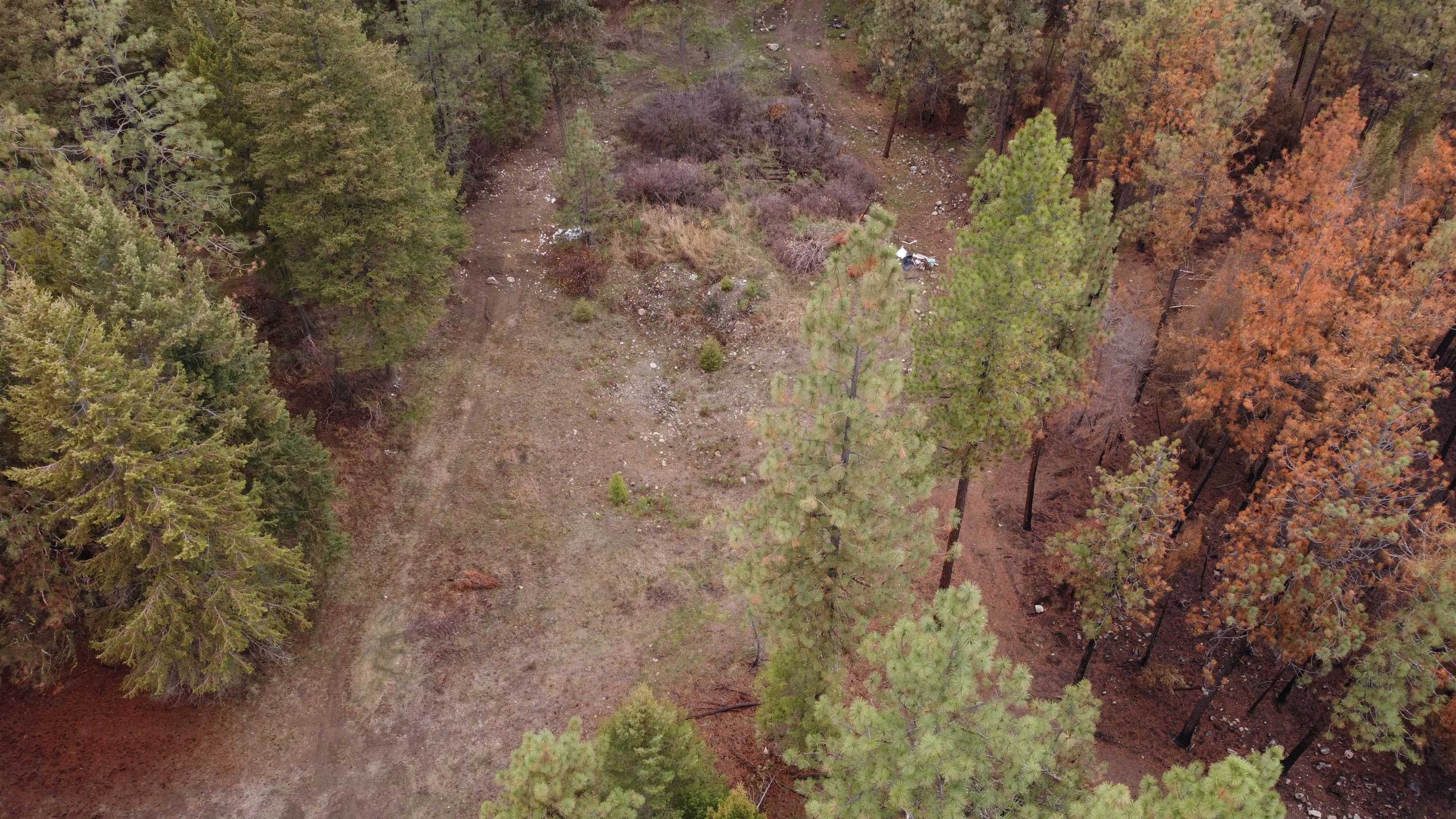 Xxx Coyote Ridge Ln Ford Ford, WA 99013 - Photo 10 of 33