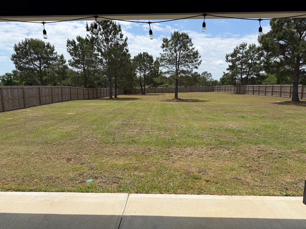 46 Owens Road Fort Mitchell, AL 36856 - Photo 45 of 57