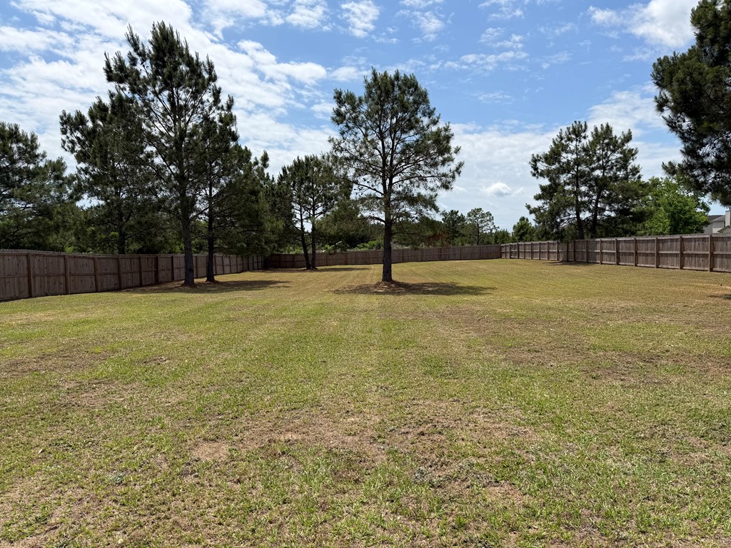 46 Owens Road Fort Mitchell, AL 36856 - Photo 48 of 57
