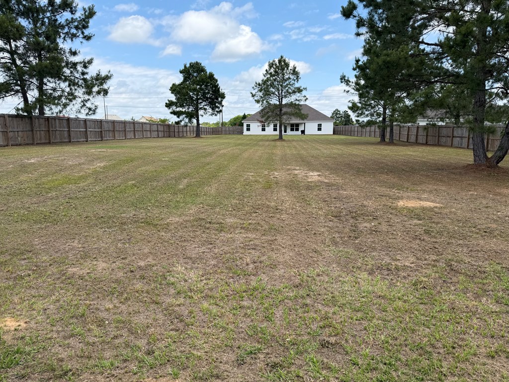 46 Owens Road Fort Mitchell, AL 36856 - Photo 51 of 57