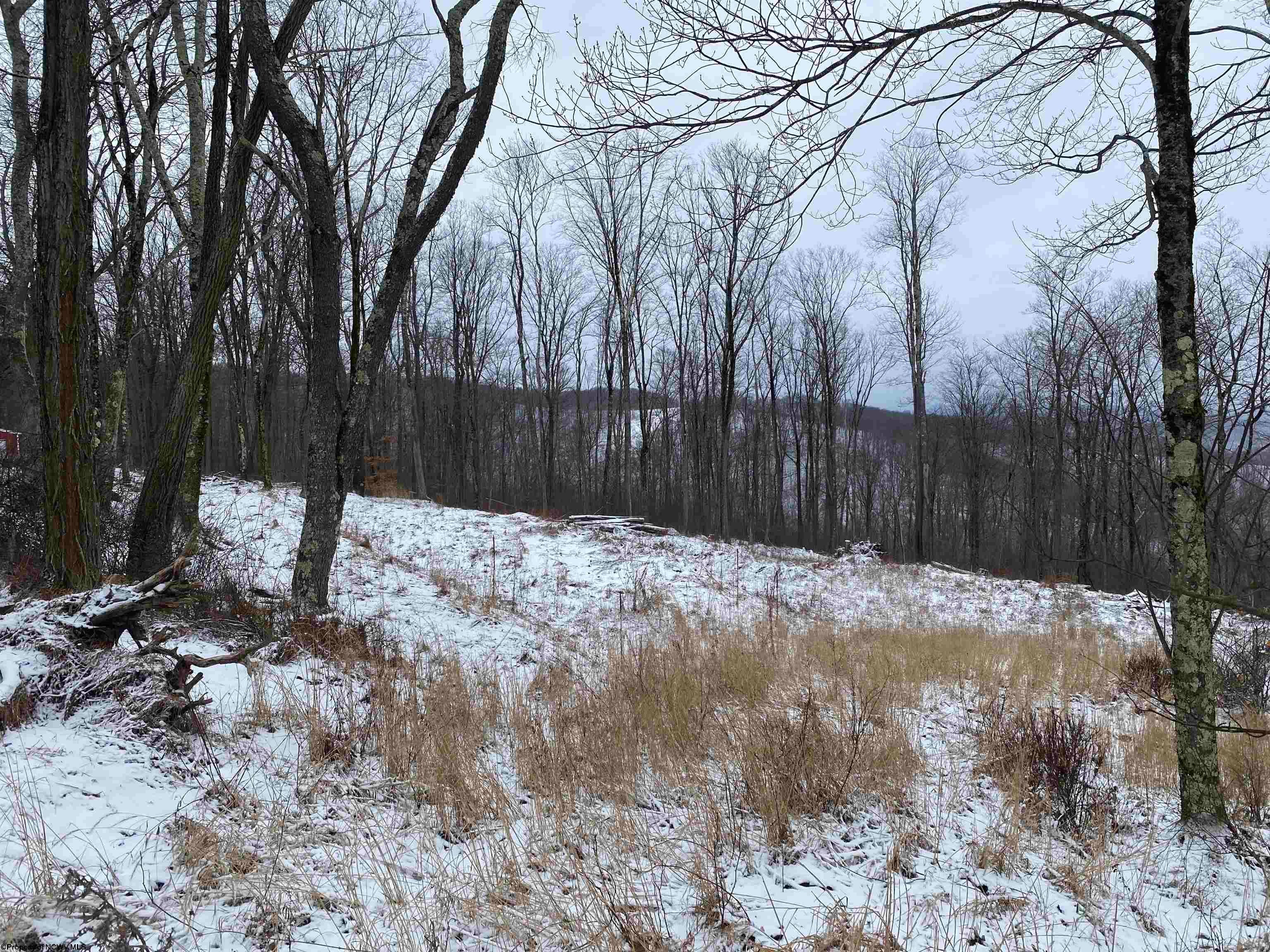 Tbd Stemple Ridge Road Aurora, WV 26705 - Photo 4 of 15 Gallery Image 4