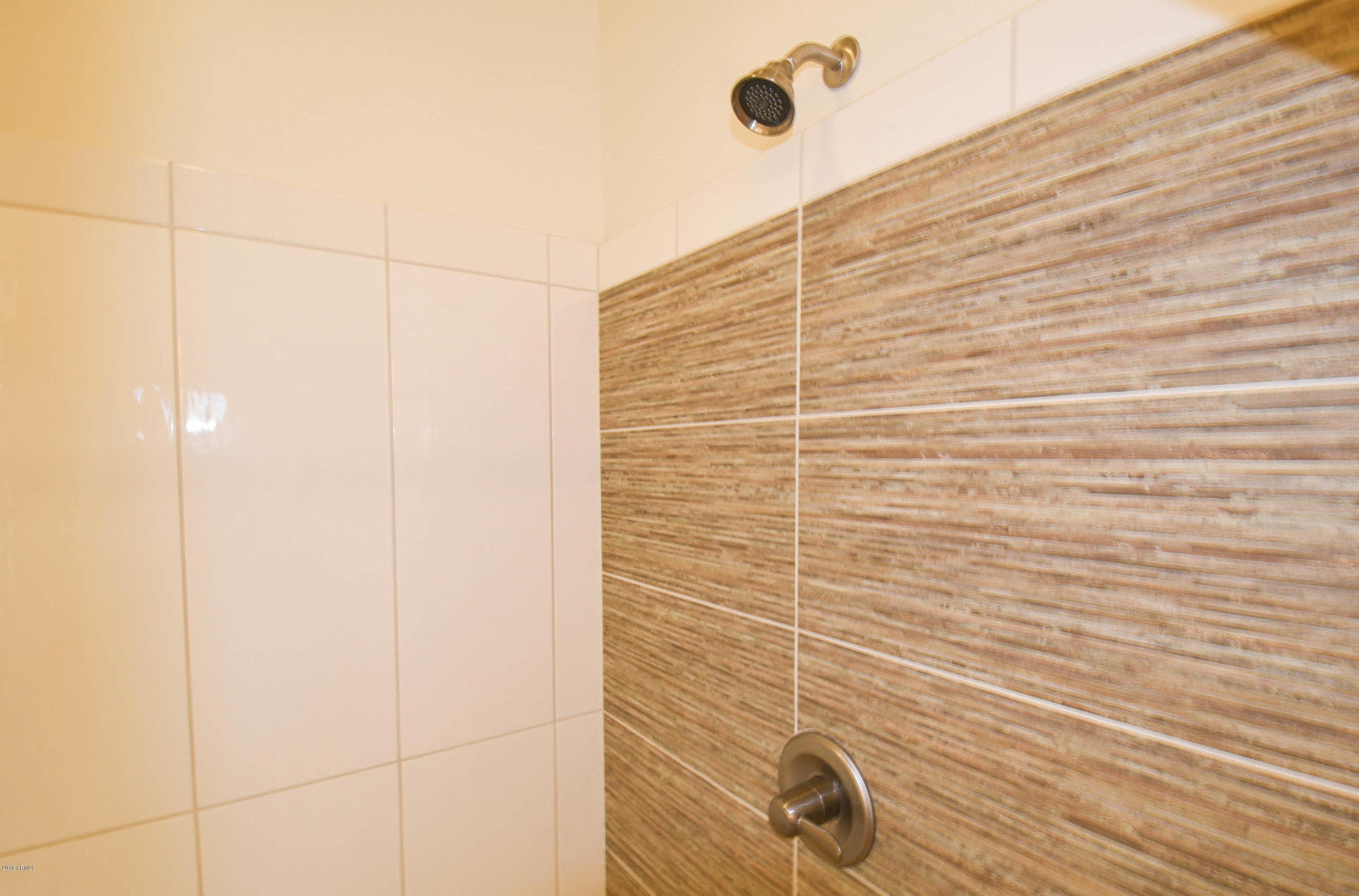 3266 Rising Sun Ridge Wickenburg, AZ 85390 - Photo 23 of 39 Master Shower