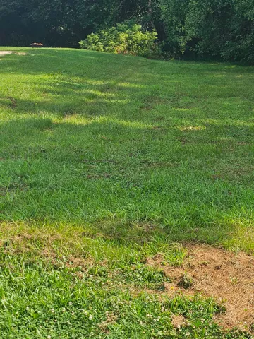 a view of a garden with a lake