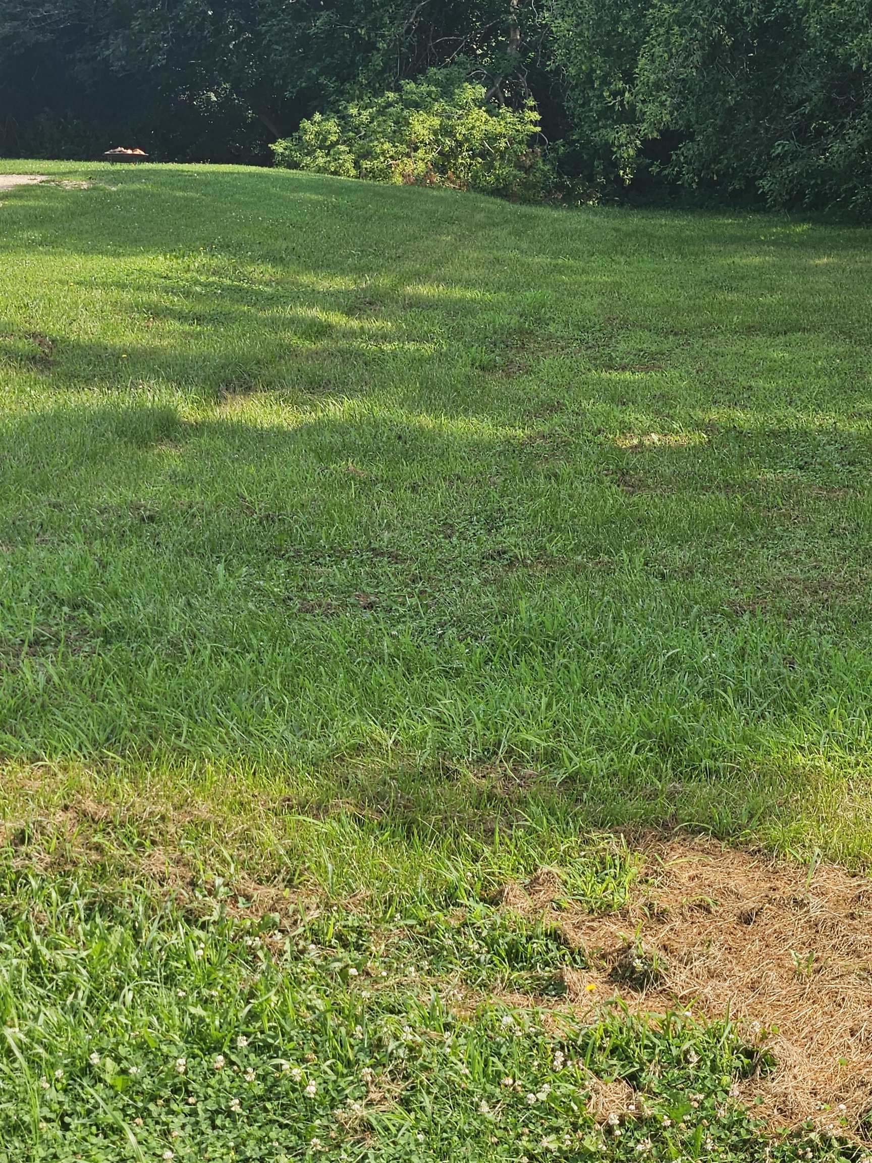 884 Breckenboro Road Lake Summerset, IL 61019 - Photo 1 of 7 a view of a garden with a lake