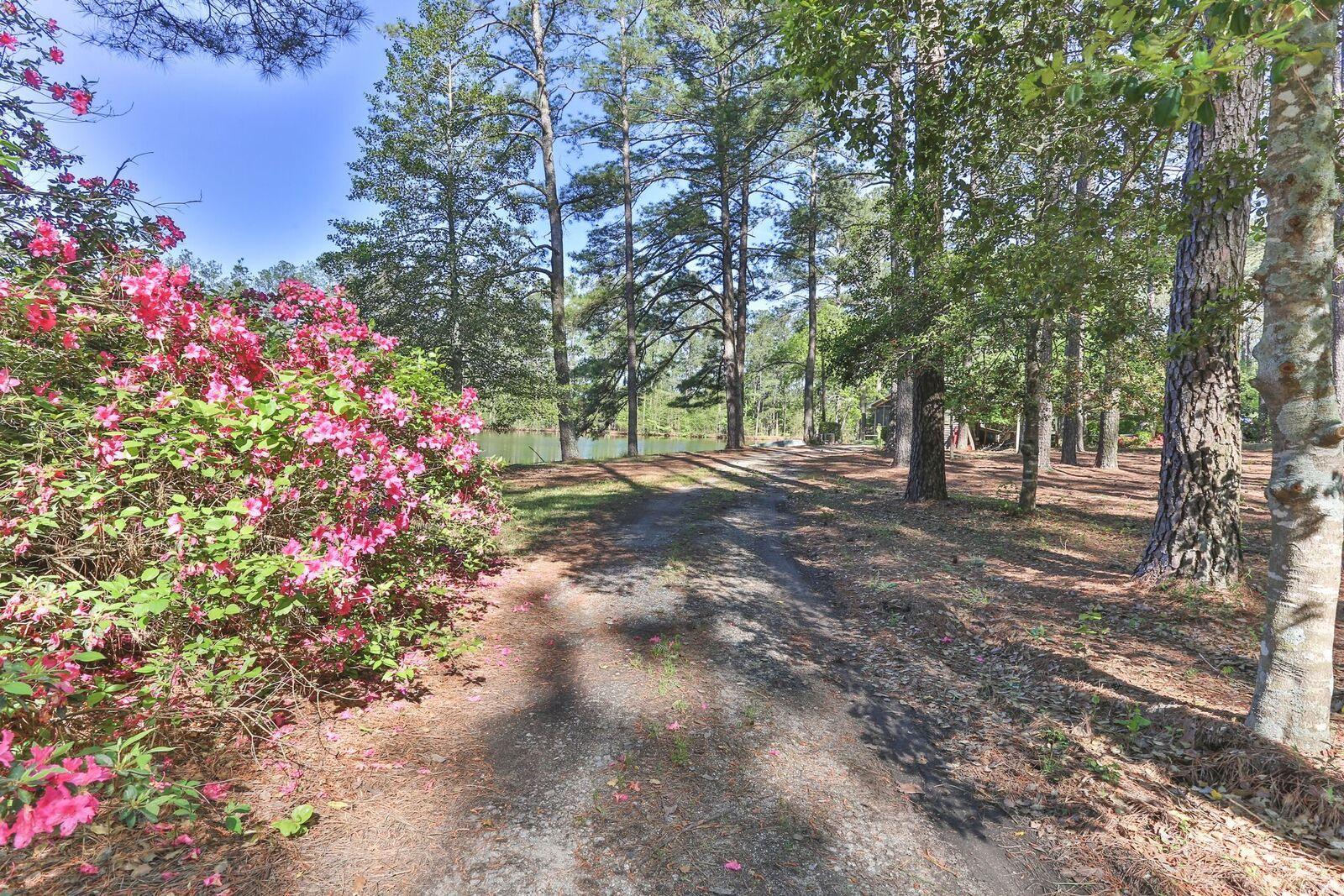 337 Lee Thee Church Road Rockingham, NC 28379 - Photo 11 of 13 11
