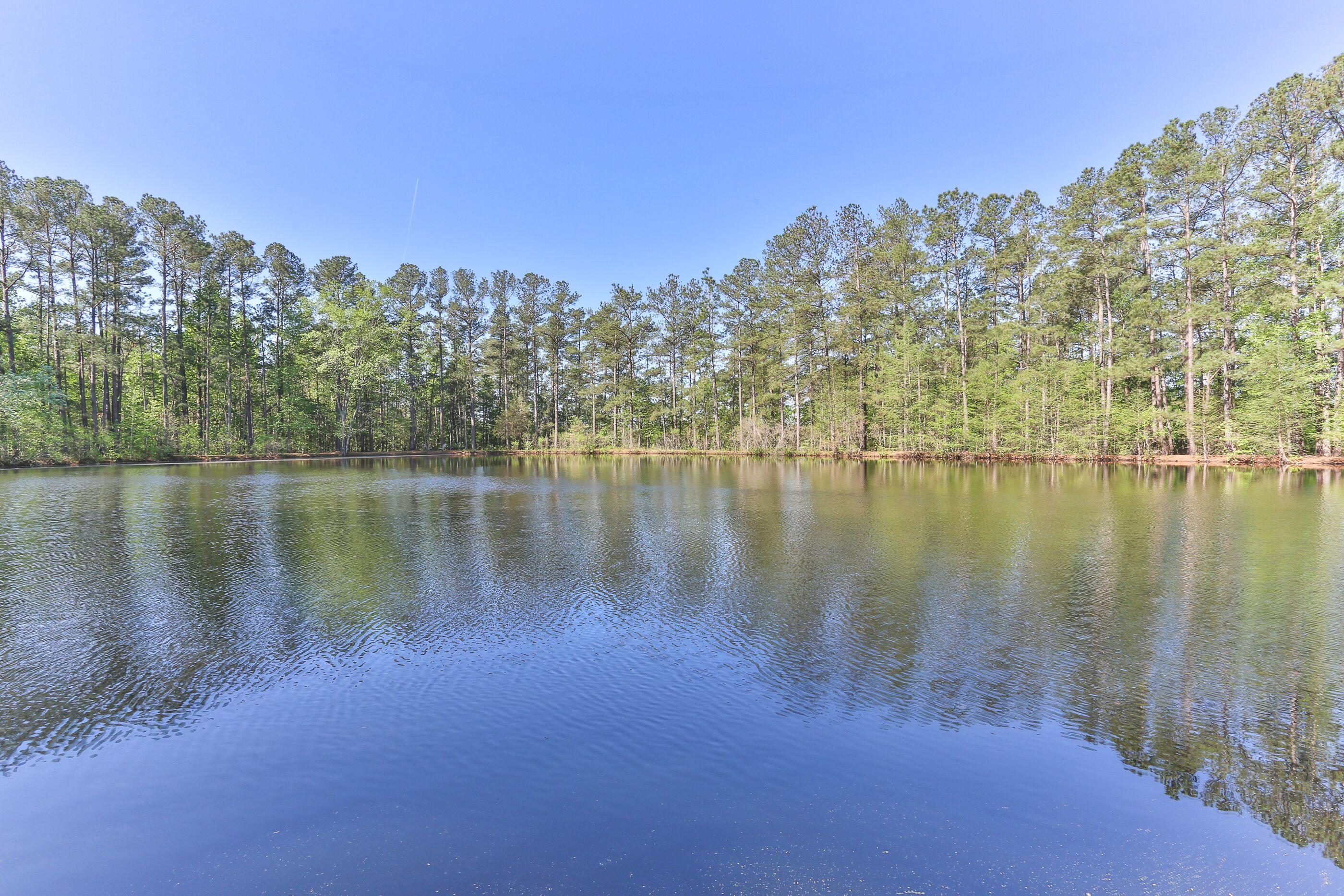 337 Lee Thee Church Road Rockingham, NC 28379 - Photo 8 of 13 8