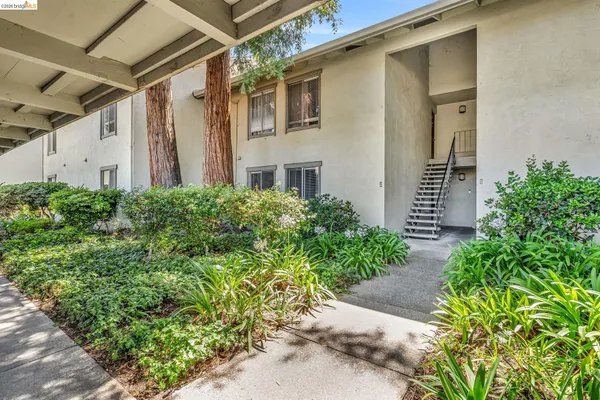 $2,900 | 2562 Walnut Boulevard, Unit 57, Walnut Creek, CA 94596