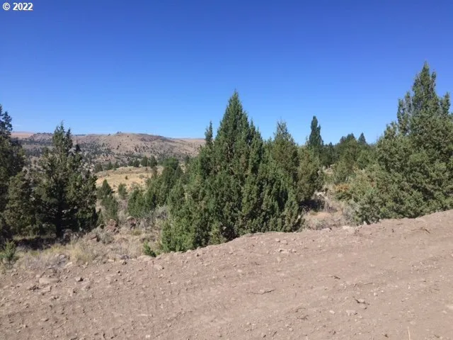 a view of a mountain view of a forest