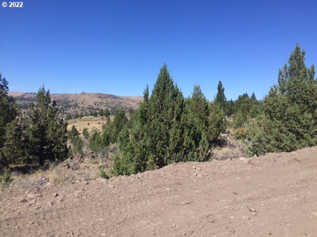 74 B County Road John Day, OR 97845 - Photo 4 of 7 a view of a mountain view of a forest