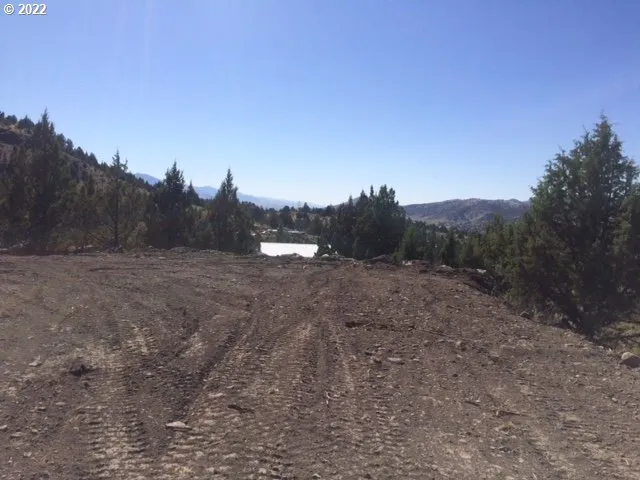 a view of a dry yard with trees