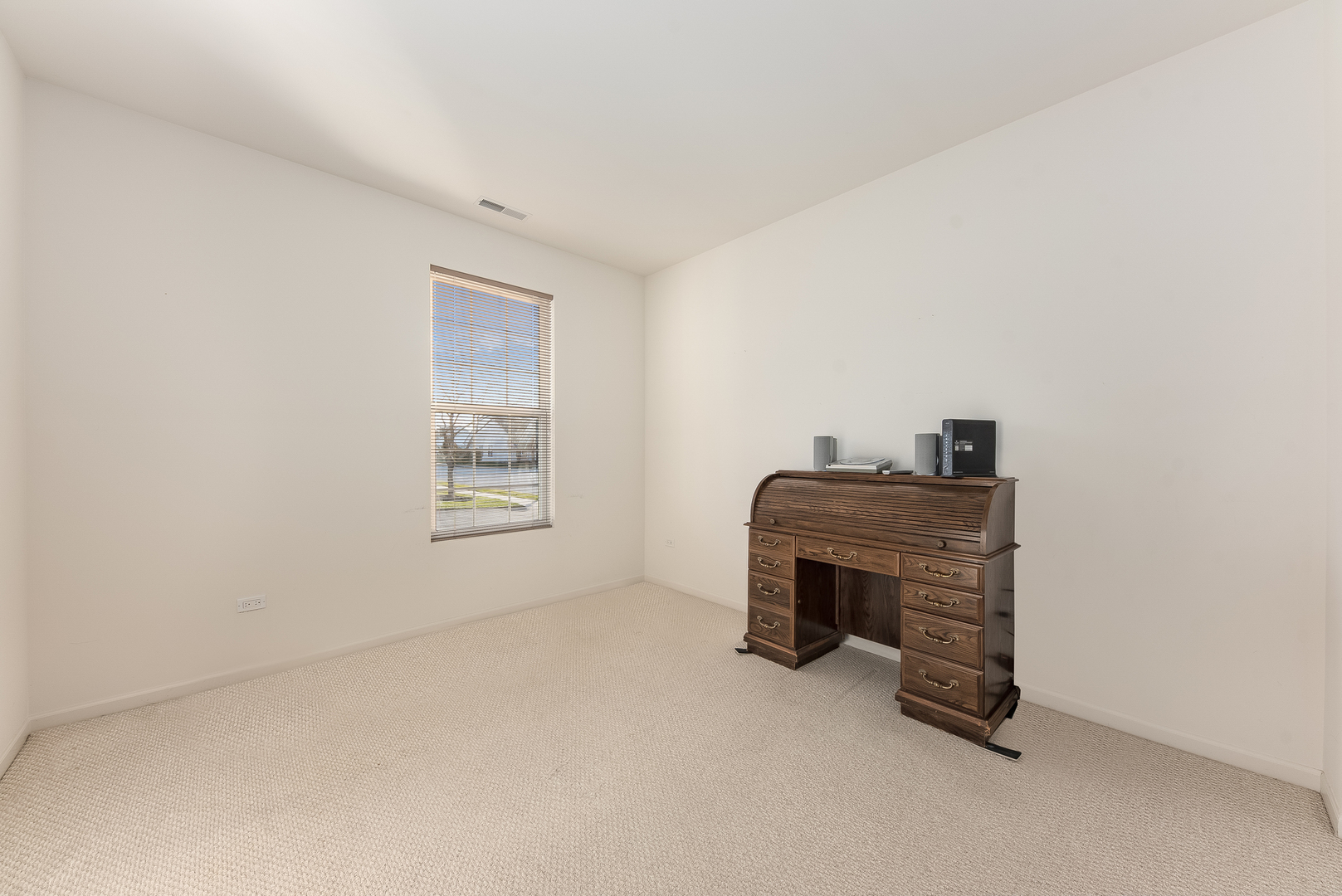 13512 Delaney Road Huntley, IL 60142 - Photo 13 of 24 a room with a fireplace and a window