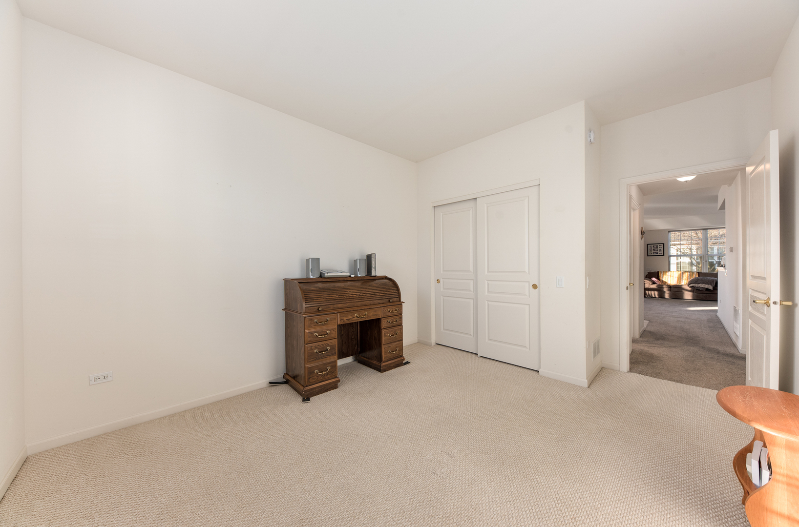 13512 Delaney Road Huntley, IL 60142 - Photo 14 of 24 a view of empty room with a fireplace