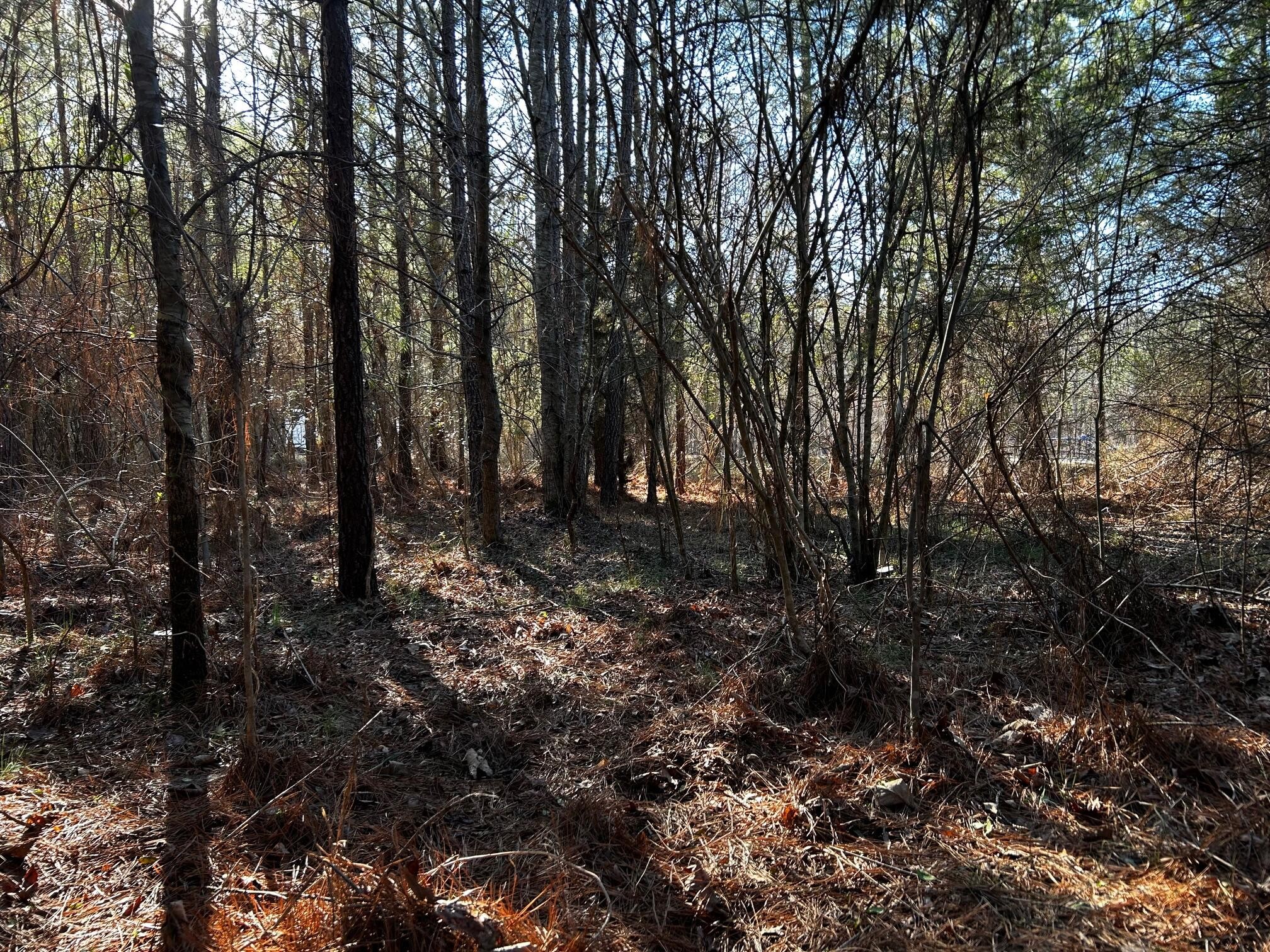 27 Charles Road Decatur, TN 37322 - Photo 8 of 17
