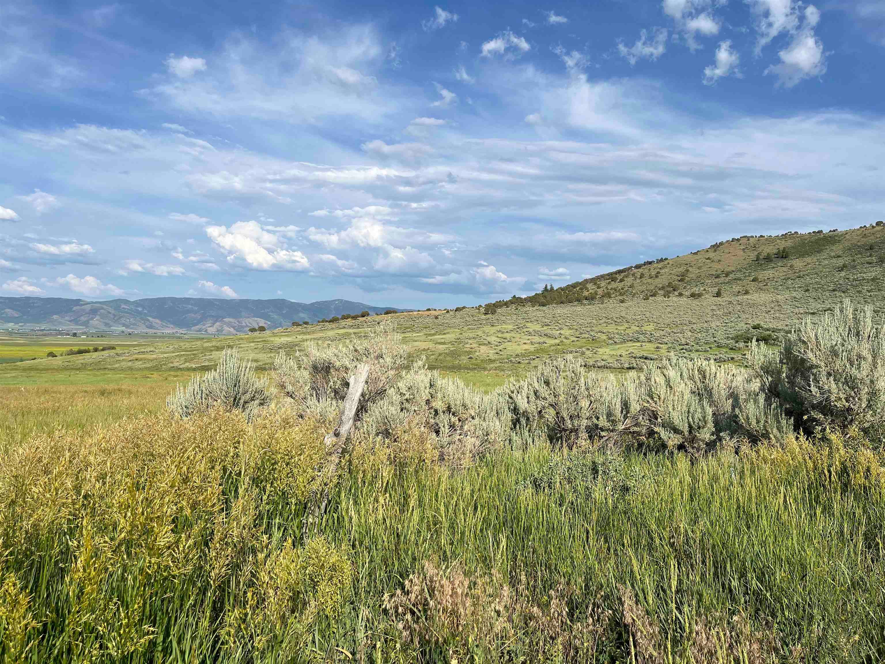 955-943 Hegstrom Road Grace, ID 83241 - Photo 20 of 45 Gallery Image 20