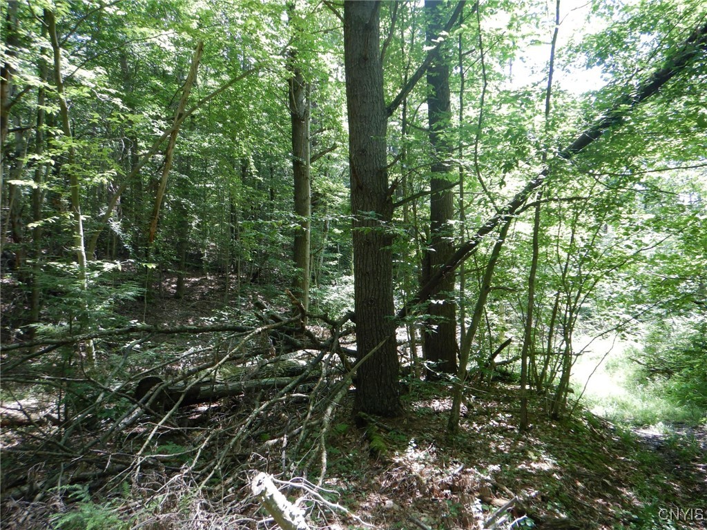 Chaffee Creek Road Newfield, NY 14867 - Photo 11 of 21