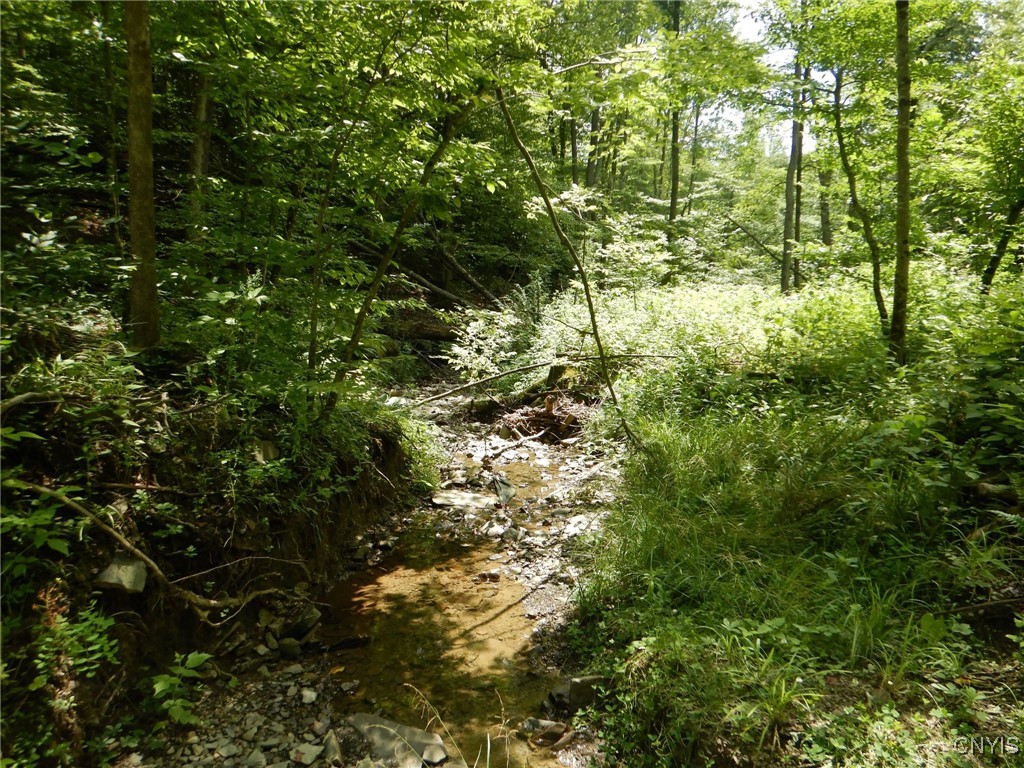 Chaffee Creek Road Newfield, NY 14867 - Photo 14 of 21