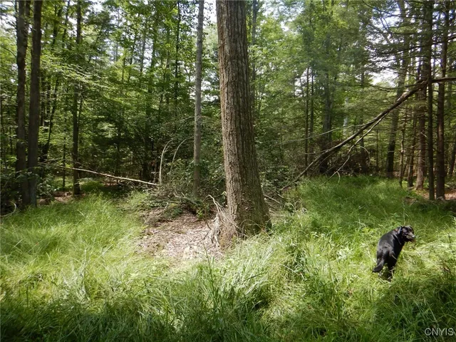 $109,900 | Chaffee Creek Road, Newfield, NY 14867