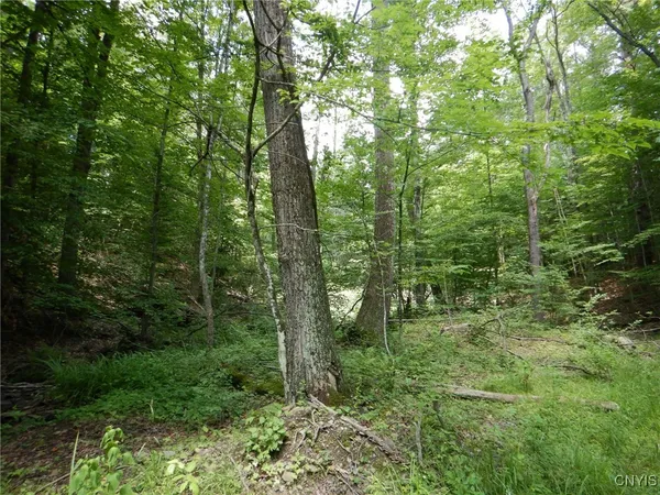 $109,900 | Chaffee Creek Road, Newfield, NY 14867