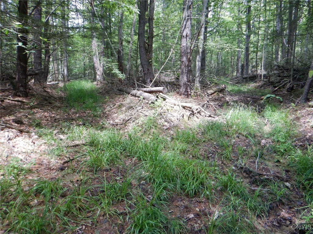 Chaffee Creek Road Newfield, NY 14867 - Photo 18 of 21