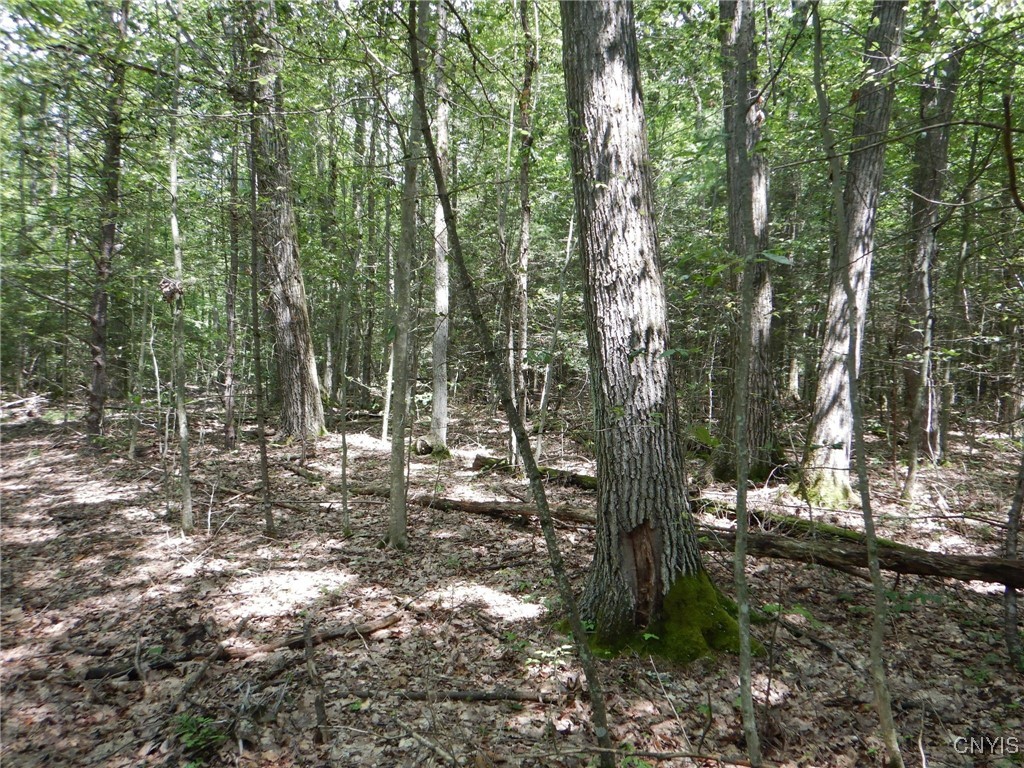 Chaffee Creek Road Newfield, NY 14867 - Photo 19 of 21