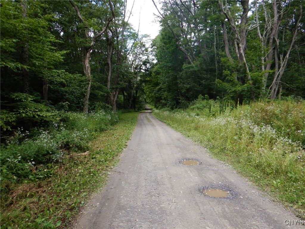 Chaffee Creek Road Newfield, NY 14867 - Photo 20 of 21