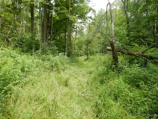 $109,900 | Chaffee Creek Road, Newfield, NY 14867