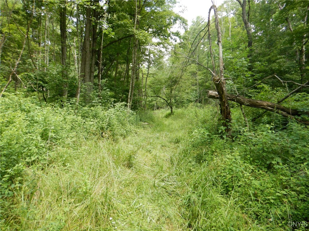 Chaffee Creek Road Newfield, NY 14867 - Photo 2 of 21