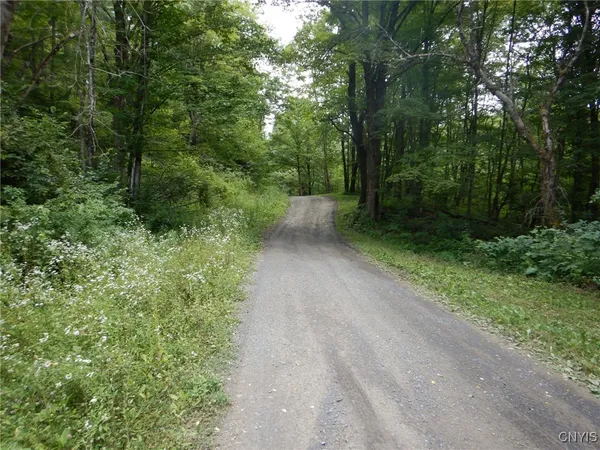 $109,900 | Chaffee Creek Road, Newfield, NY 14867