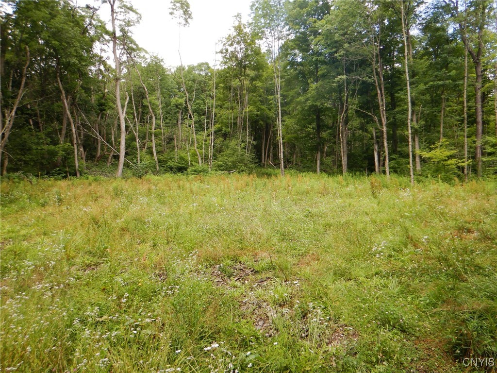 Chaffee Creek Road Newfield, NY 14867 - Photo 3 of 21