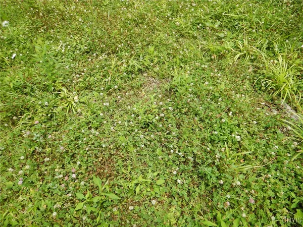 $109,900 | Chaffee Creek Road, Newfield, NY 14867