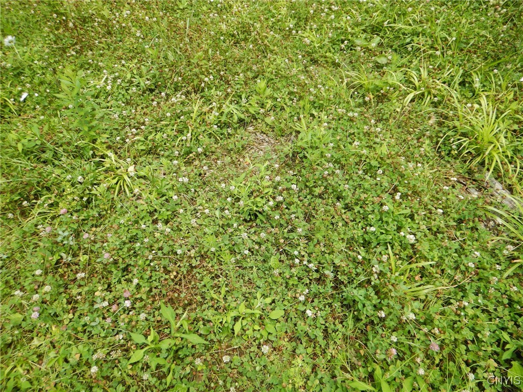 Chaffee Creek Road Newfield, NY 14867 - Photo 4 of 21