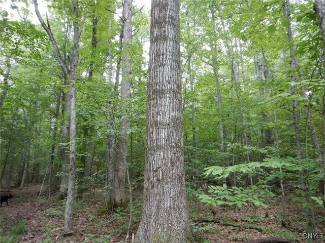 $109,900 | Chaffee Creek Road, Newfield, NY 14867