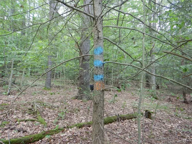 $109,900 | Chaffee Creek Road, Newfield, NY 14867