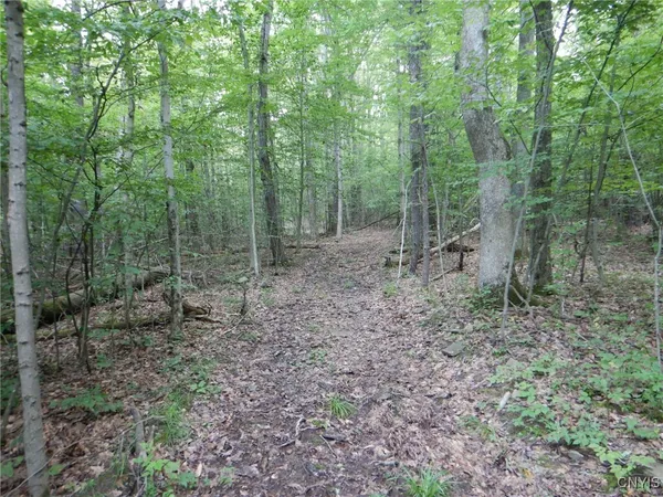 $109,900 | Chaffee Creek Road, Newfield, NY 14867