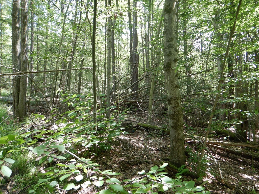 Chaffee Creek Road Newfield, NY 14867 - Photo 10 of 21