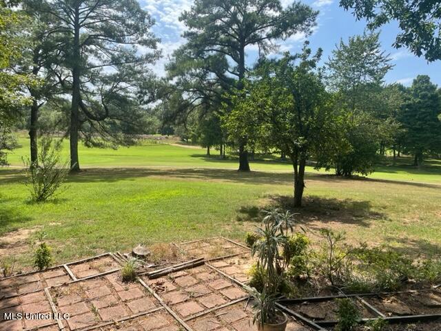 530 Gwen Road Senatobia, MS 38668 - Photo 60 of 90 IMG_1820