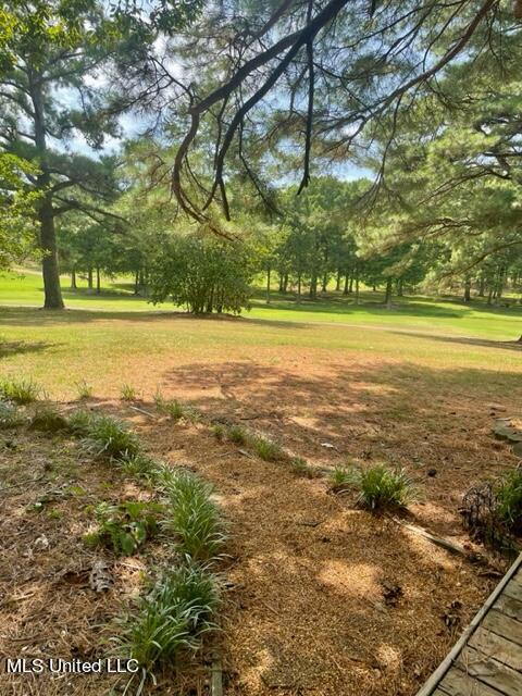 530 Gwen Road Senatobia, MS 38668 - Photo 62 of 90 IMG_1823