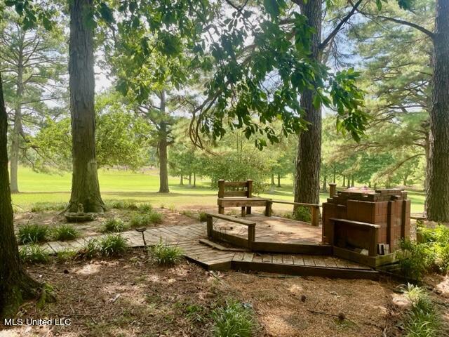 530 Gwen Road Senatobia, MS 38668 - Photo 68 of 90 IMG_1835