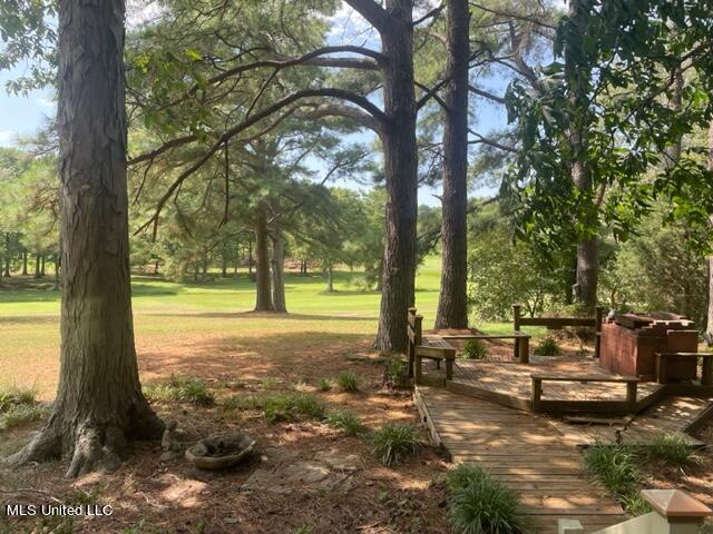 530 Gwen Road Senatobia, MS 38668 - Photo 75 of 90 IMG_1846